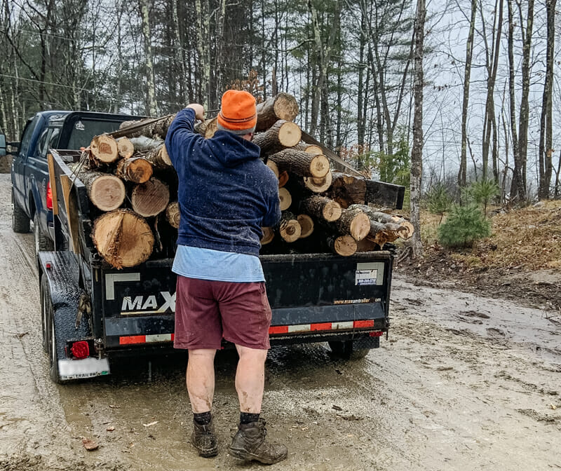 Strapping down a load of logs in the back of the trailer.