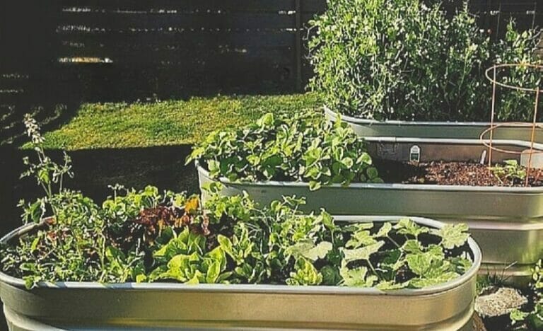 How To Make Galvanized Planters: A Simple 3-Step Guide