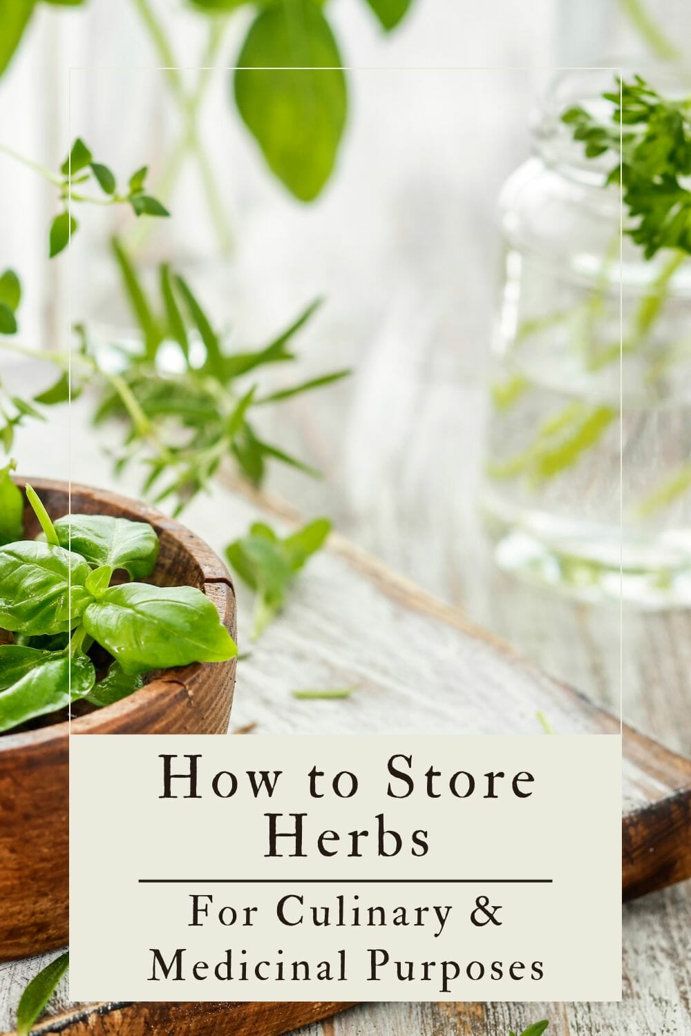 A pinterest-friendly graphic for storing culinary and medicinal herbs.