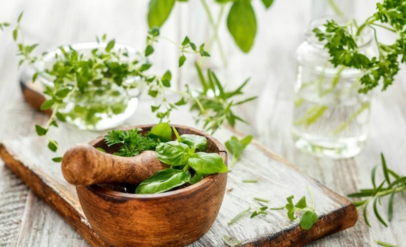 A variety of fresh herbs laid out on a table being prepared for storage.