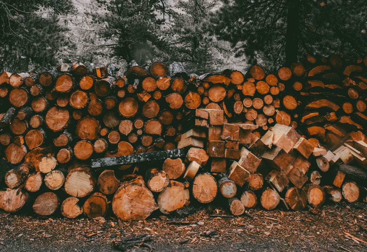 A large stack of freshly cut pine logs outdoors, showcasing the natural color and texture of the wood.