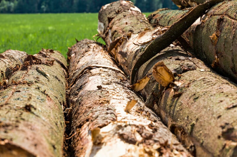 A stack of pine logs in a green field.