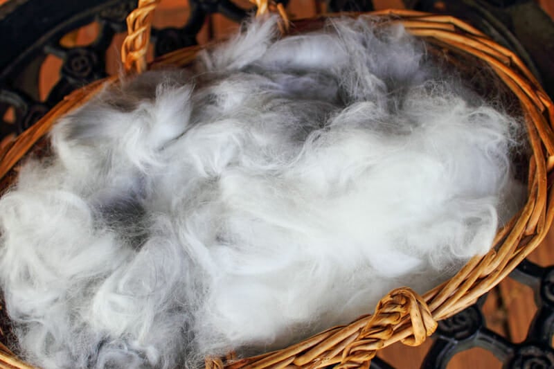 A basket filled with gray wool from our angoras.