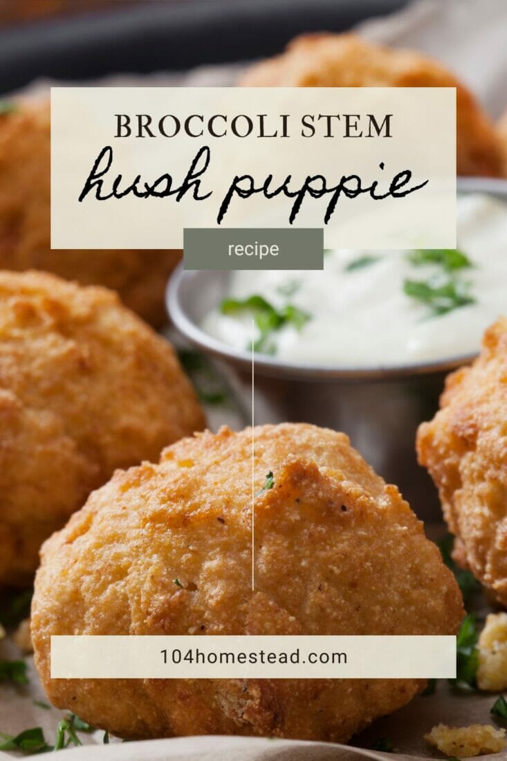A pinterest-friendly graphic for my broccoli hush puppies recipe and homemade ranch dressing.
