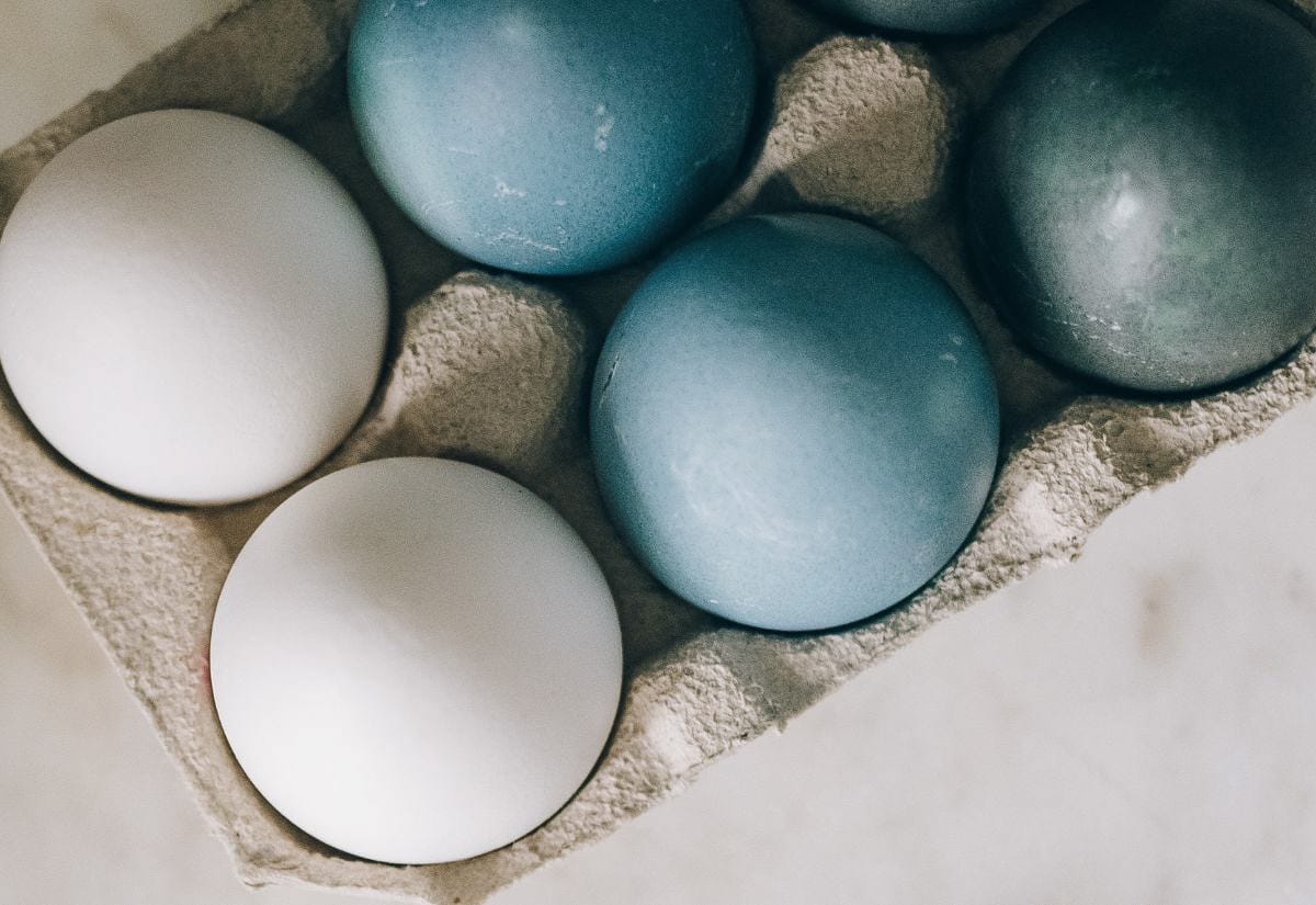 Close-up of several white eggs and two eggs dyed pale blue resting on a textured egg carton, showing the subtle color change from natural dye on smooth eggshells.