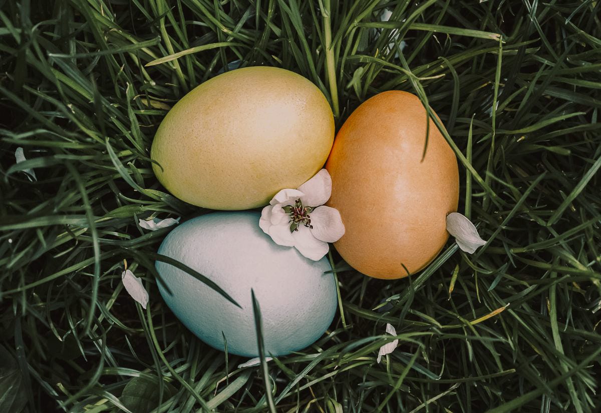 Three naturally dyed Easter eggs in pastel yellow, soft teal, and warm orange resting in green grass with small white blossoms, showing gentle natural dye colors created from kitchen ingredients.