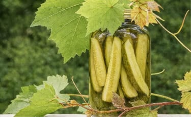 Horizontal photo of a jar of homemade dill pickles surrounded by bright green grapevine leaves, sitting outdoors against a soft green background. The jar and leaves are the main focus, with natural sunlight creating a fresh, summery look.