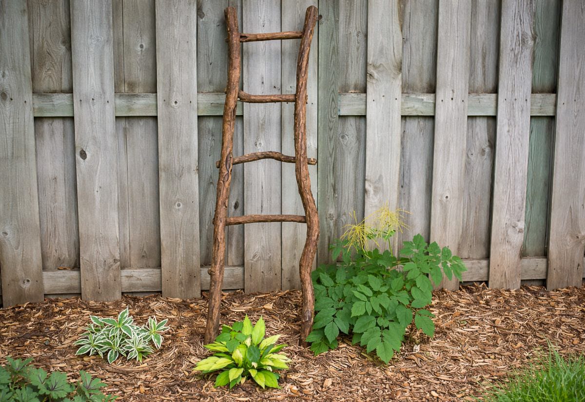 Handmade rustic ladder trellis built from natural tree branches, standing against a wooden fence in a mulched garden bed with hostas and leafy plants at the base.