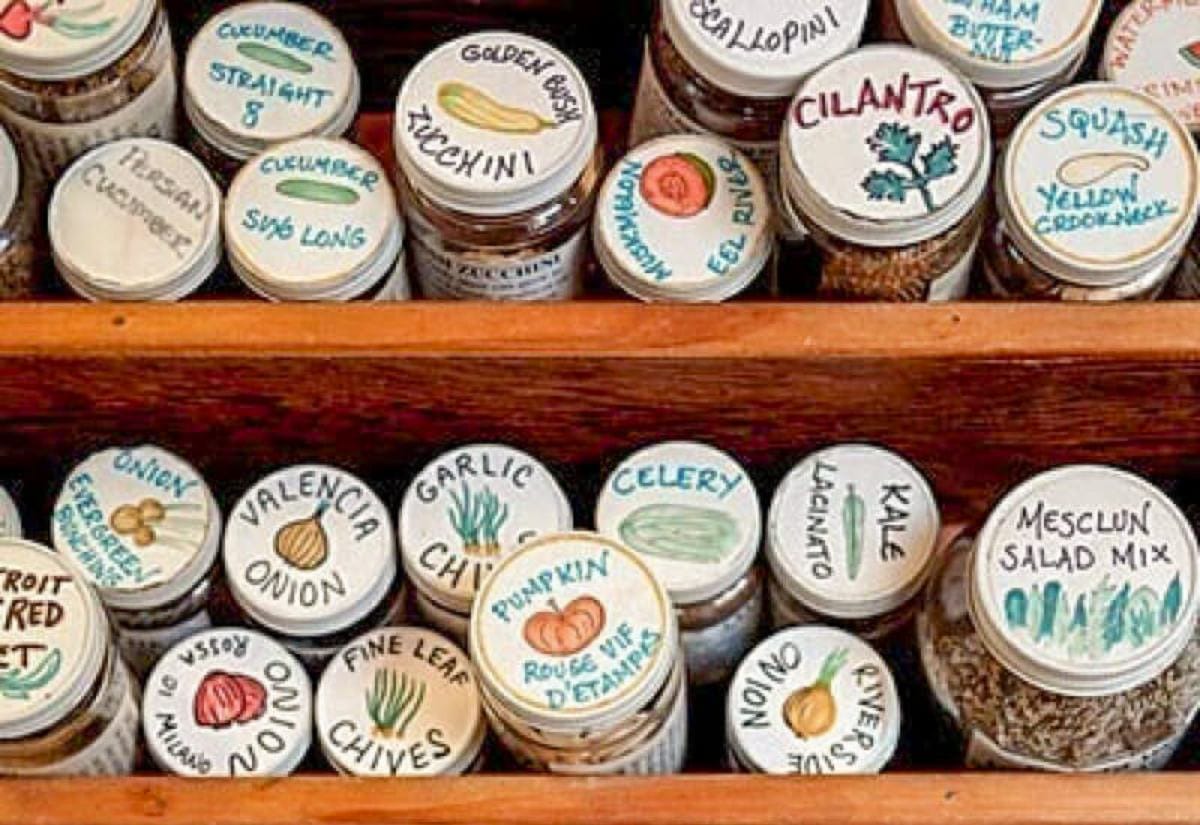 Collection of pill bottles labeled with hand-drawn illustrations of vegetables and herbs, used for storing seeds.