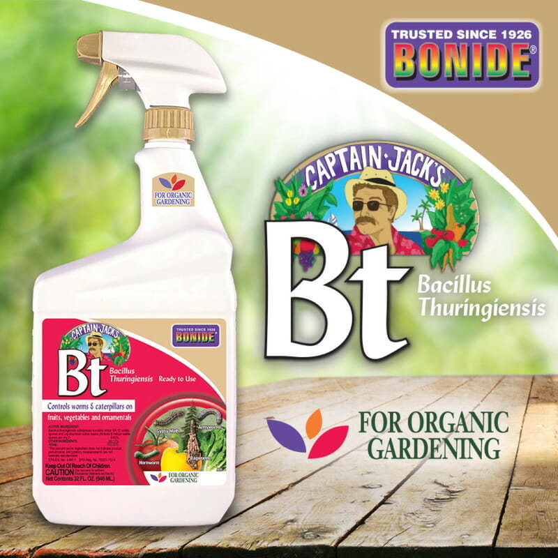 Captain Jack's Bt (Bacillus Thuringinsis) Organic Gardening Spray.
