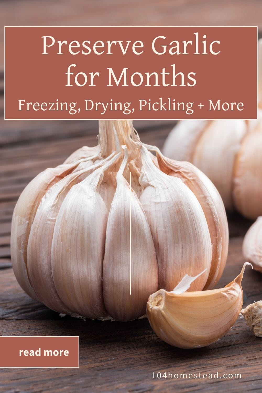 Pinterest graphic for how to preserve garlic, showing a close-up of a garlic bulb and clove with text overlay reading “Preserve Garlic for Months: Freezing, Drying, Pickling + More.”