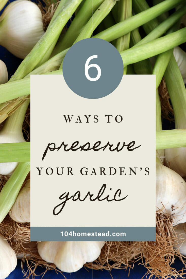 How To Preserve Garlic4 733x1100 