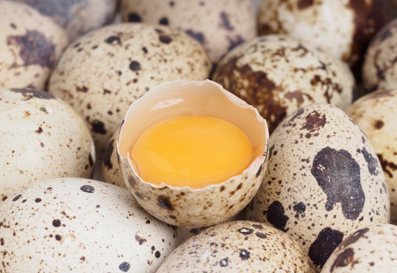 An open quail egg with the yoke exposed surrounded by other quail eggs.