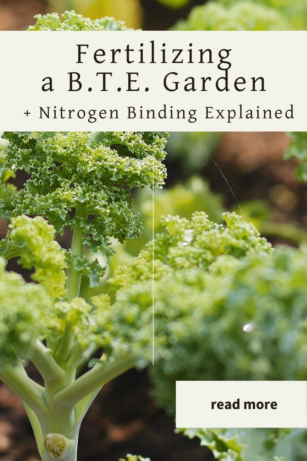 A pinterest-friendly graphic for how to fertilize a back to eden garden organically and explain why nitrogen binding isn't an issue.