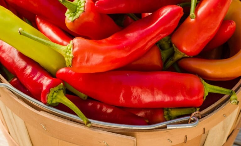 How to Preserve Hot Peppers: Easy Ways to Keep the Heat All Year