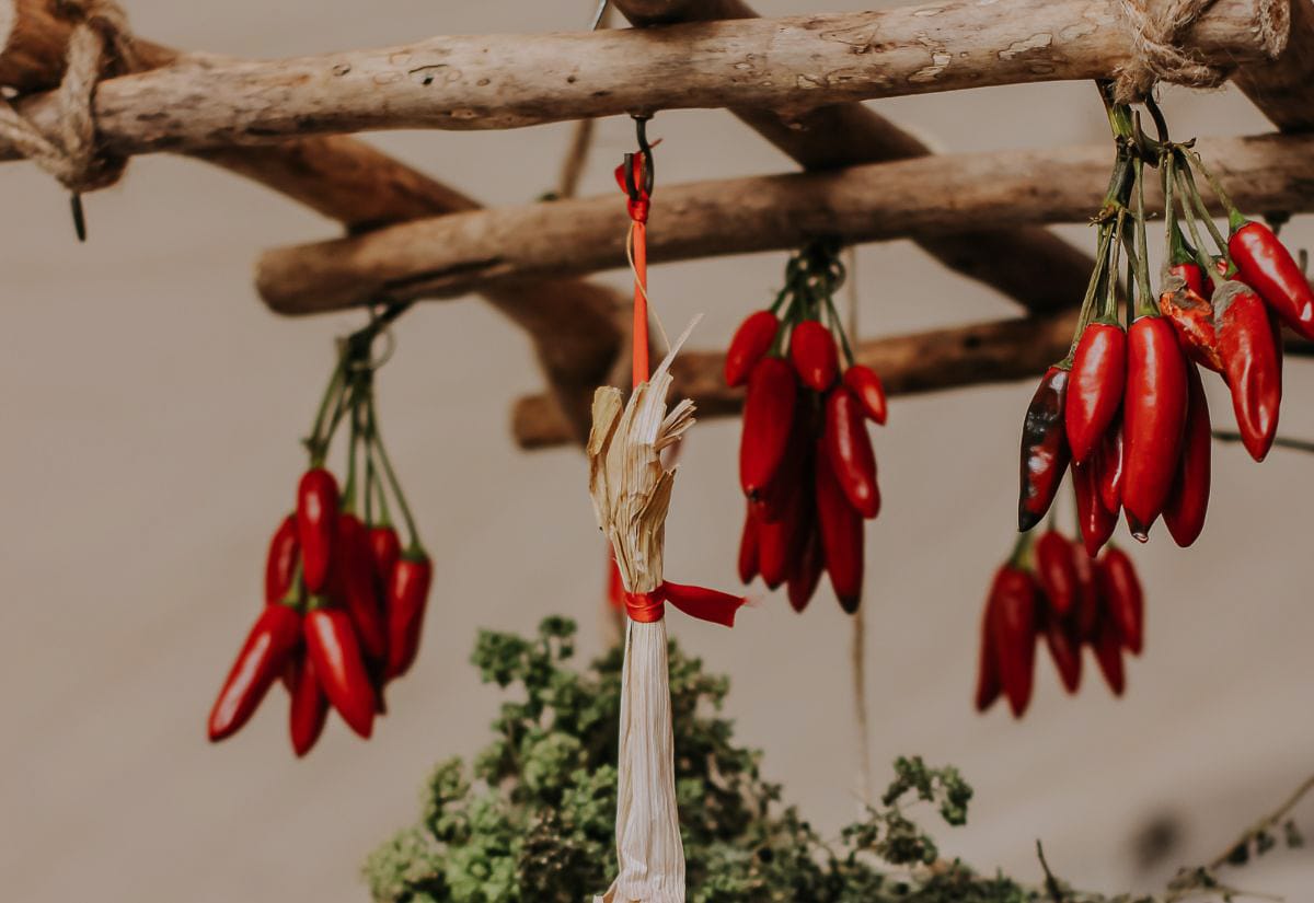 Red hot peppers strung and hung to air dry, a traditional method for how to preserve hot peppers without equipment.