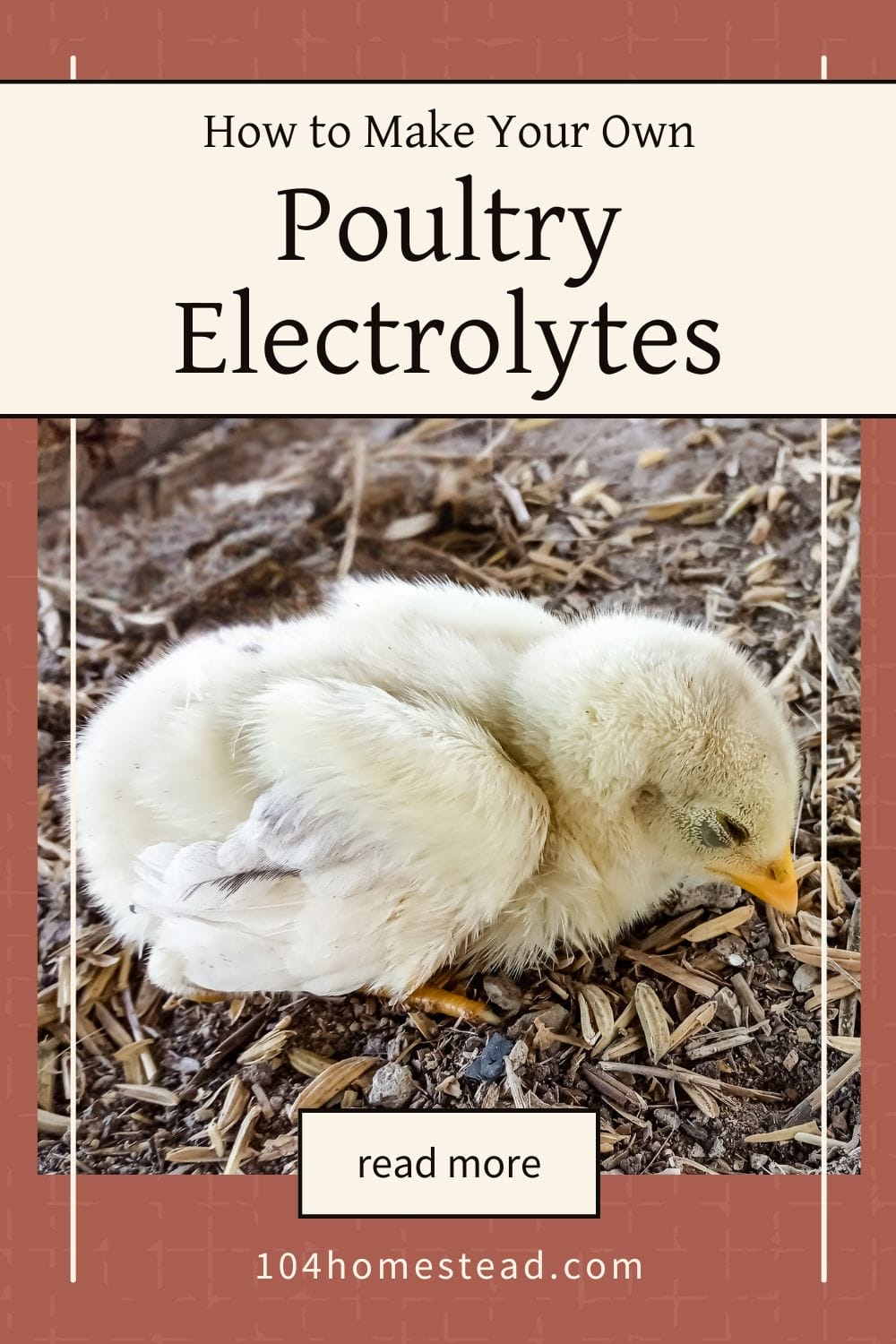 A pinterest graphic show a sick chick in need of electrolytes.