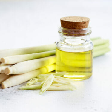 Lemongrass oil in a glass jar with lemongrass stalks.