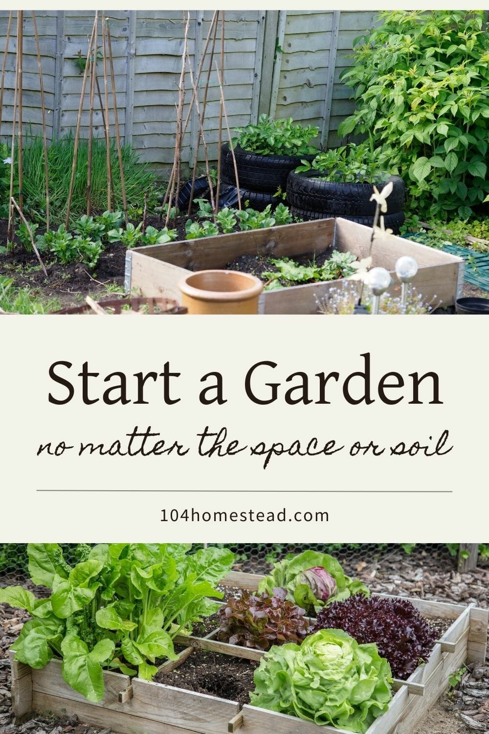 A pinterest-friendly graphic for how to start a garden in your own backyard.
