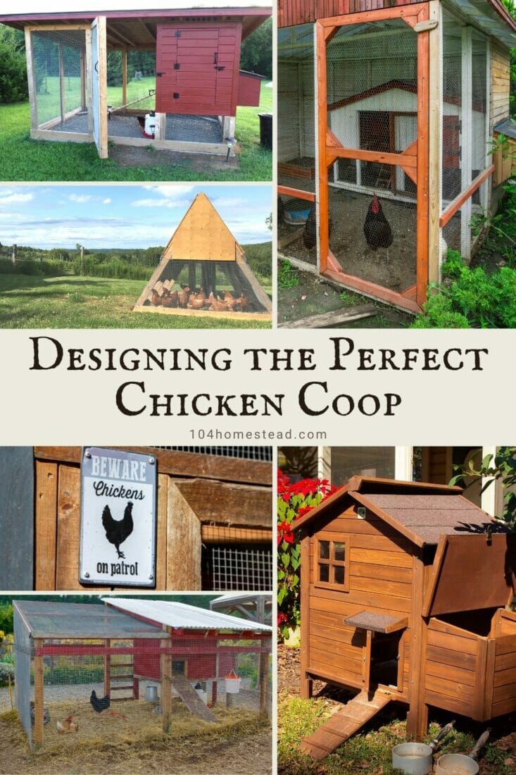 A pinterest-friendly collage for my post on designing the perfect chicken coop.