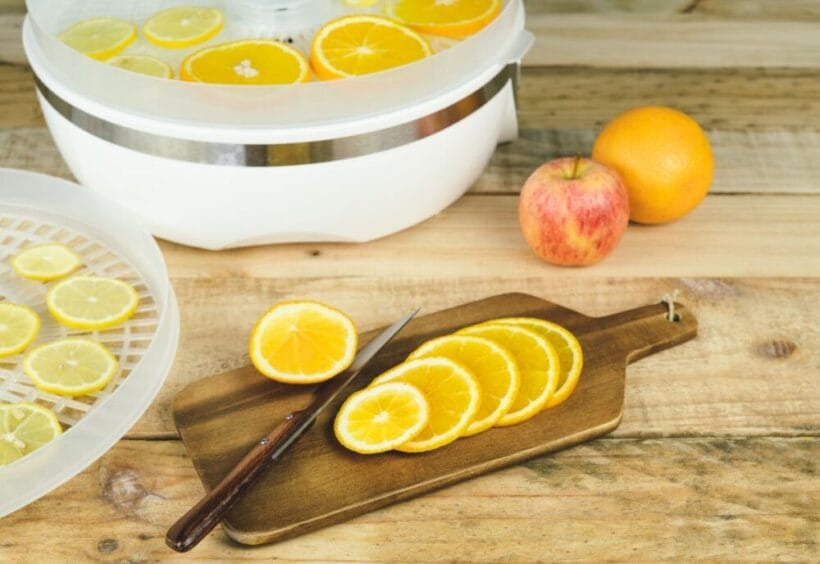 Slices of citrus being put in a countertop dehydrator.