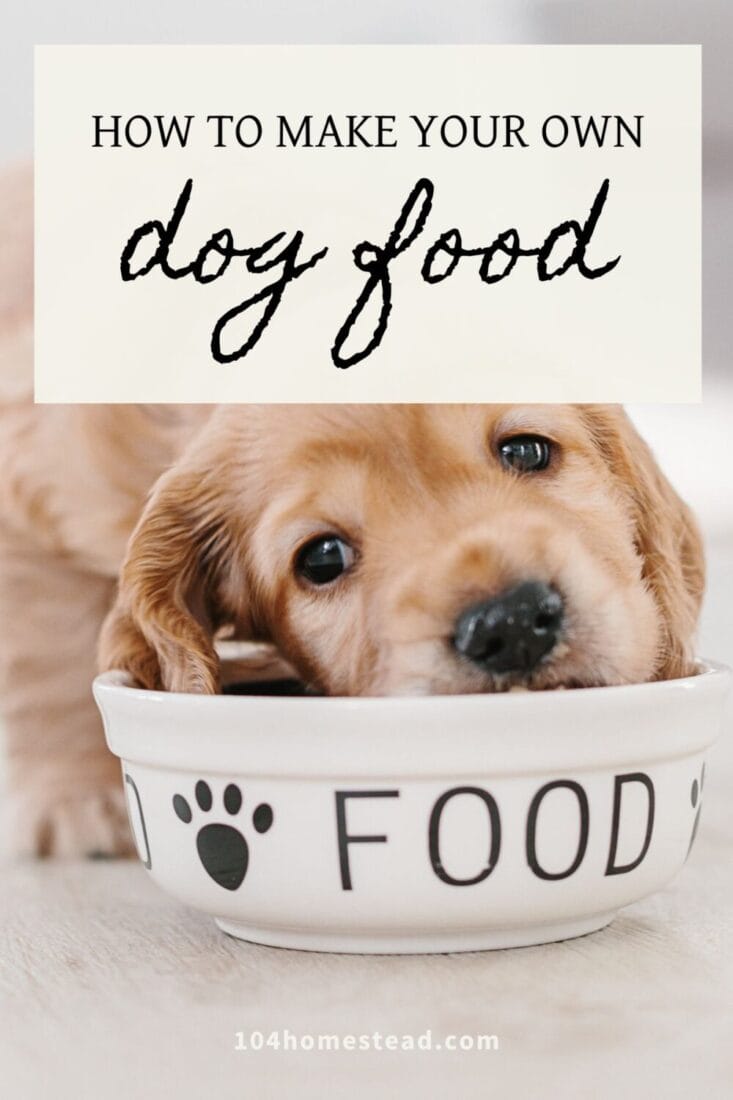 A Pinterest-friendly graphic for my homemade dog food recipe.