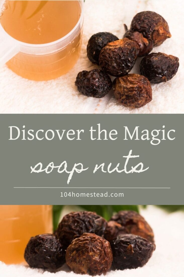 A pinterest-friendly graphic for my post on the benefits of using soap nuts.
