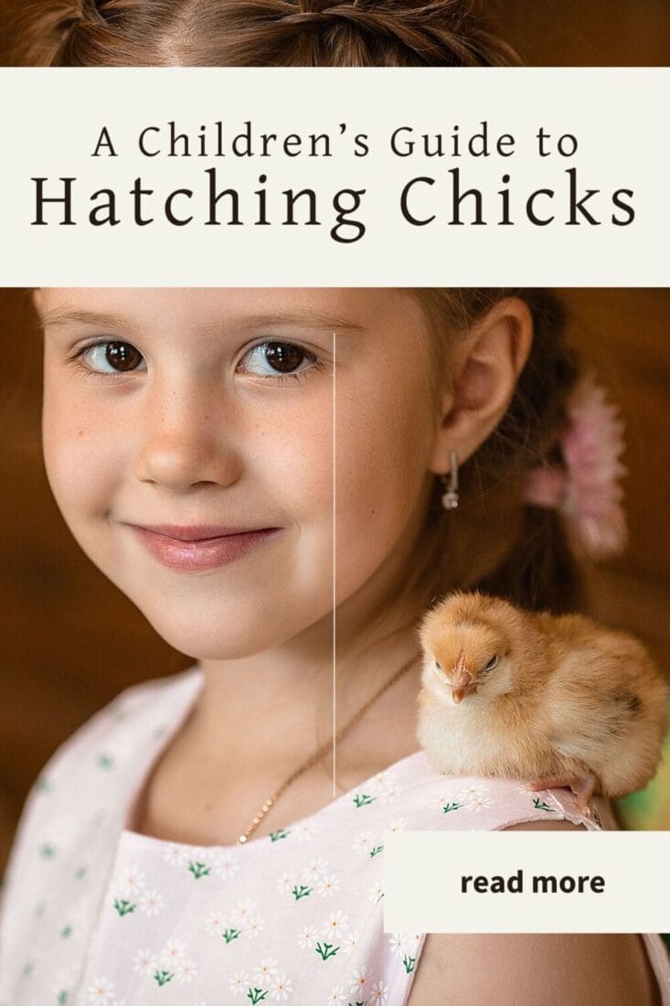 A pinterest-friendly graphic for my children's guide to hatching chicks.