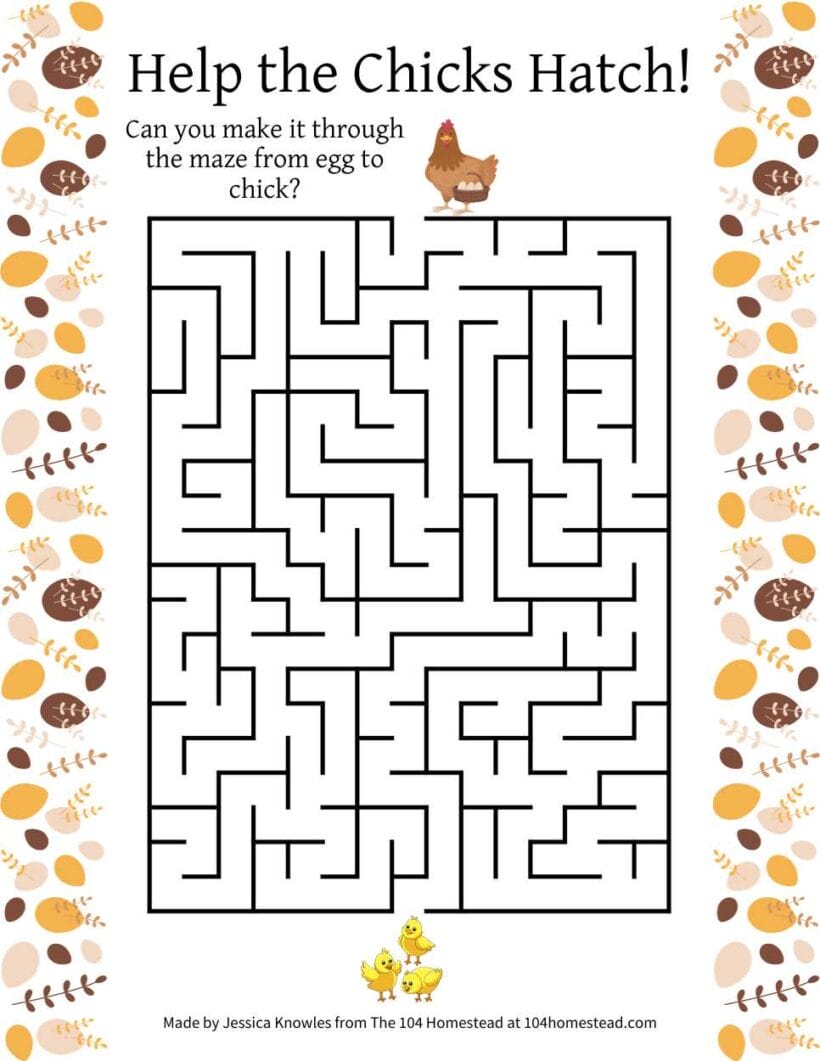 A fun chicken egg to chick maze printable for kids.