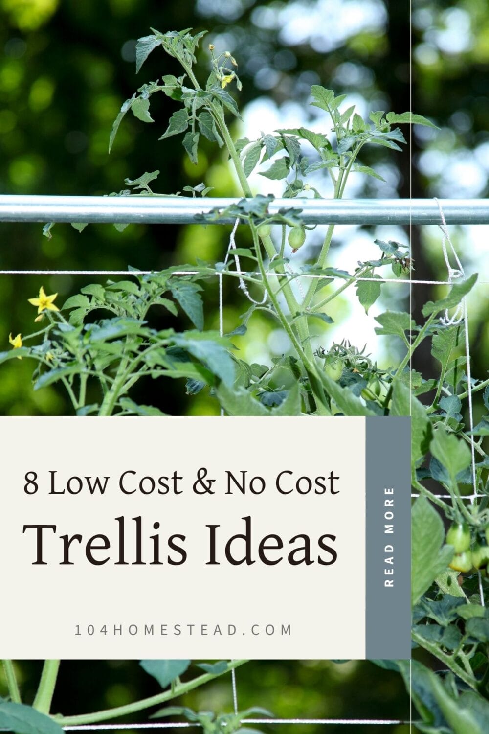 A Pinterest-friendly graphic for my post on how to make your own trellis for your garden.