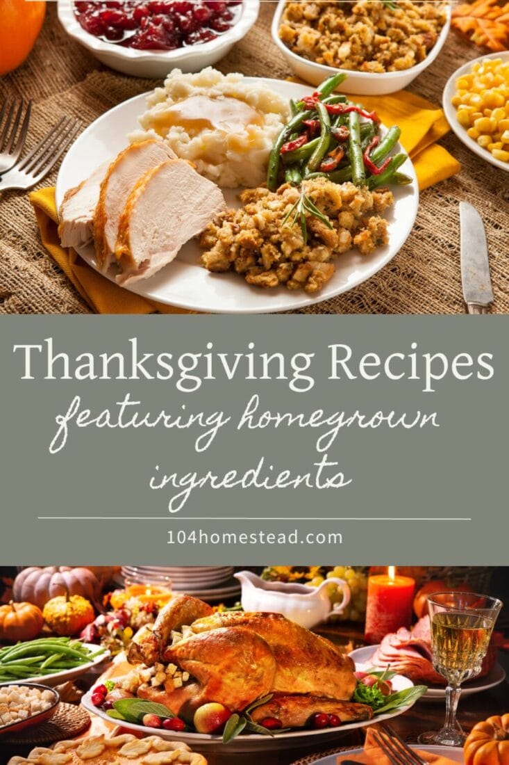 A Pinterest-friendly graphic for my homegrown highlighted Thanksgiving recipes.