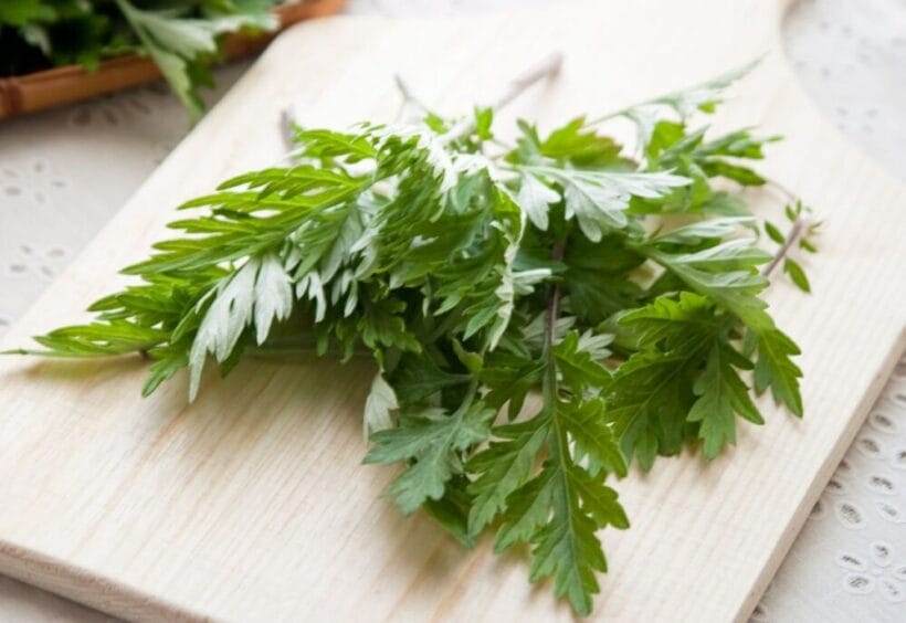 Sprigs of wormwood on a cutting board.