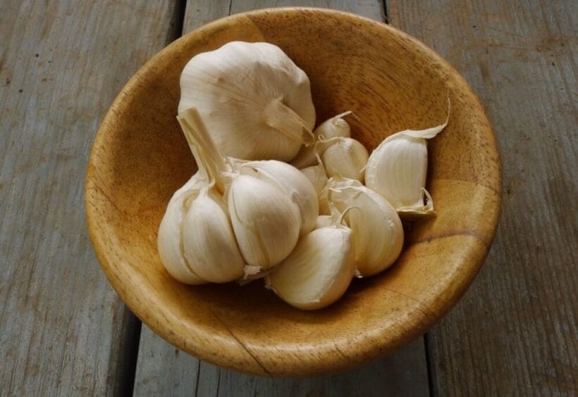 A bowl of freshly harvested garlic.