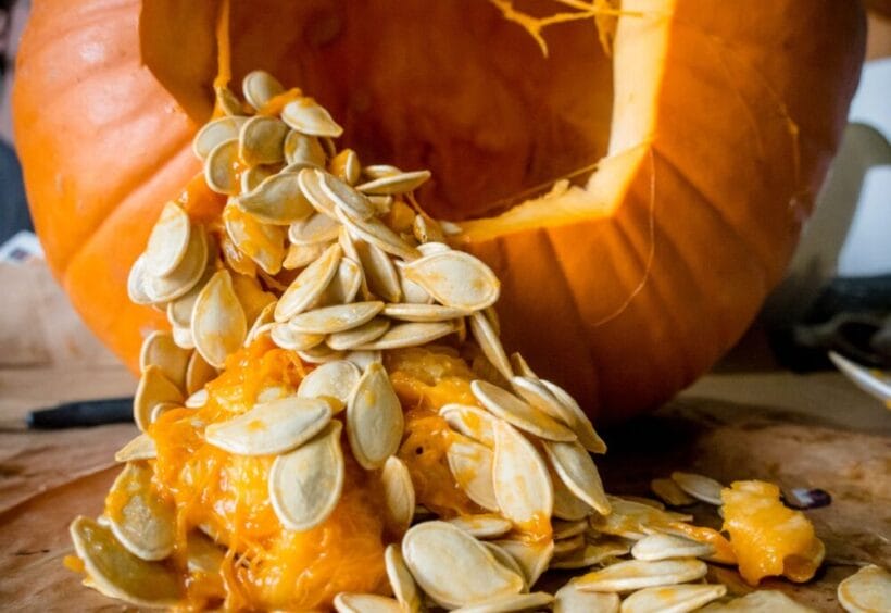 A pumpkin with seeds and guts spilling out of it.