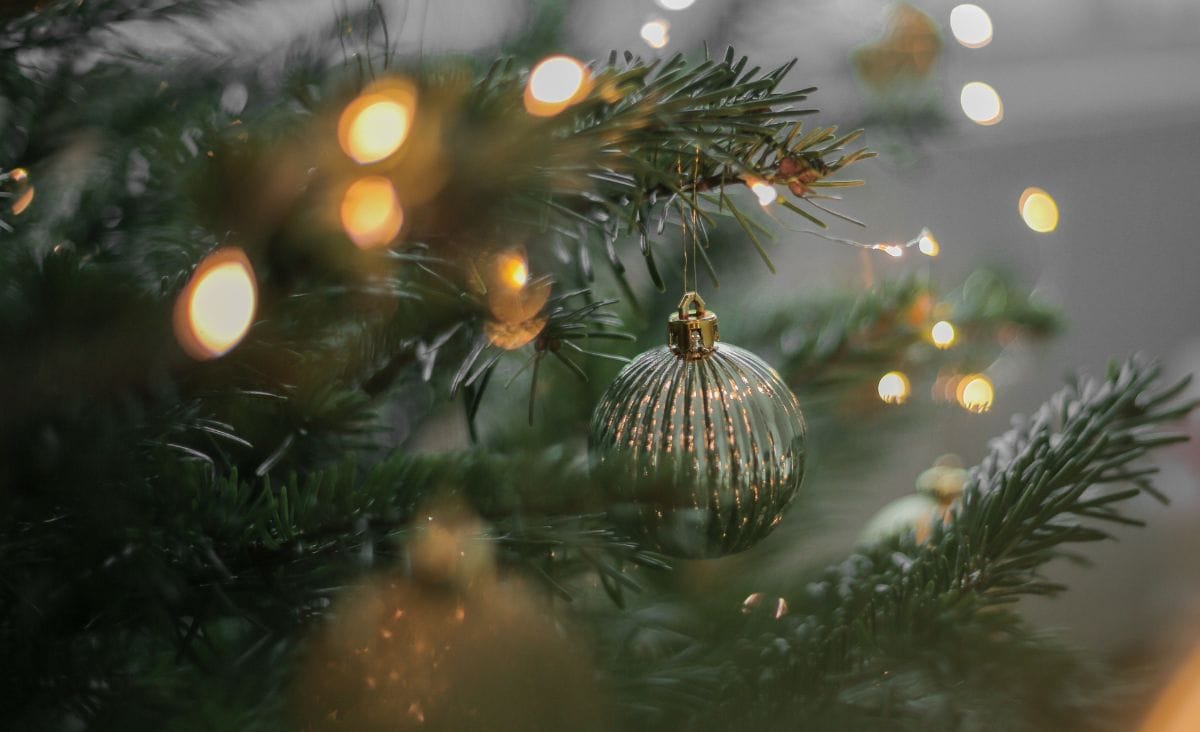 Close-up of a Christmas tree branch with a hanging gold ornament and glowing string lights.