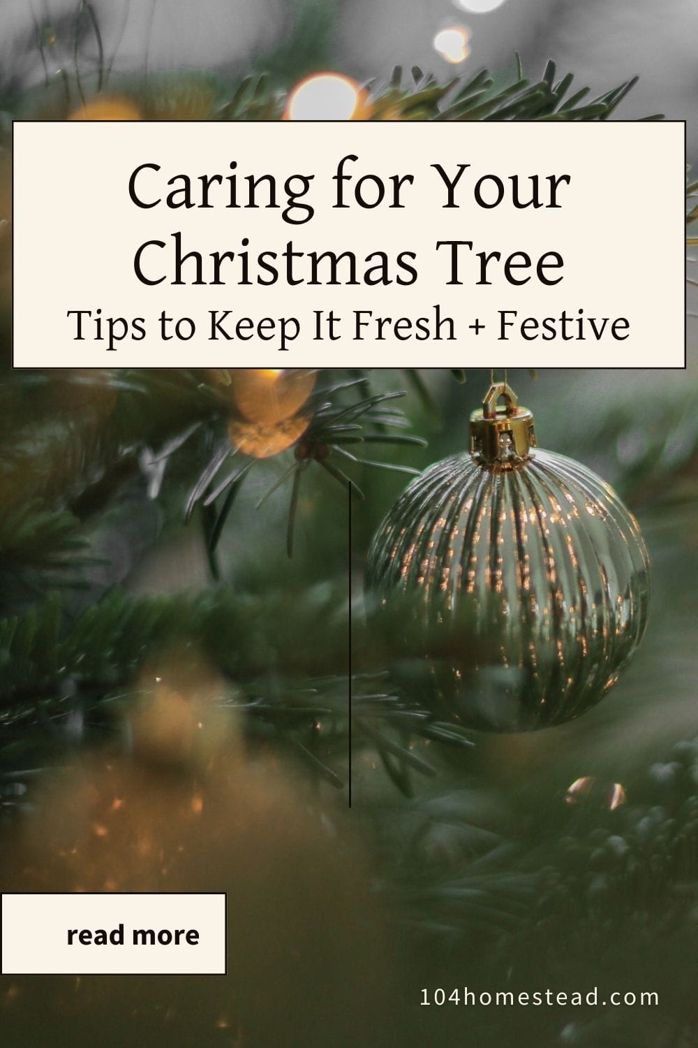 Pinterest graphic featuring "Caring for Your Christmas Tree: Tips to Keep It Fresh + Festive" on a Christmas tree background.