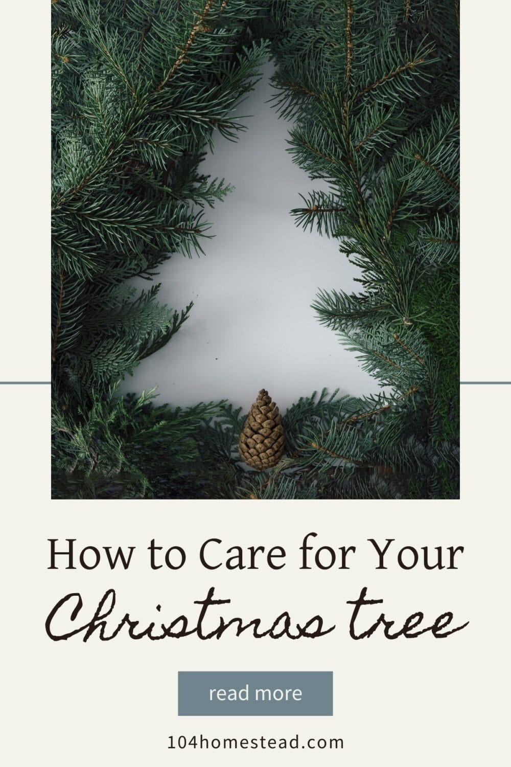 A Pinterest-friendly graphic for my post on caring for your Christmas tree.
