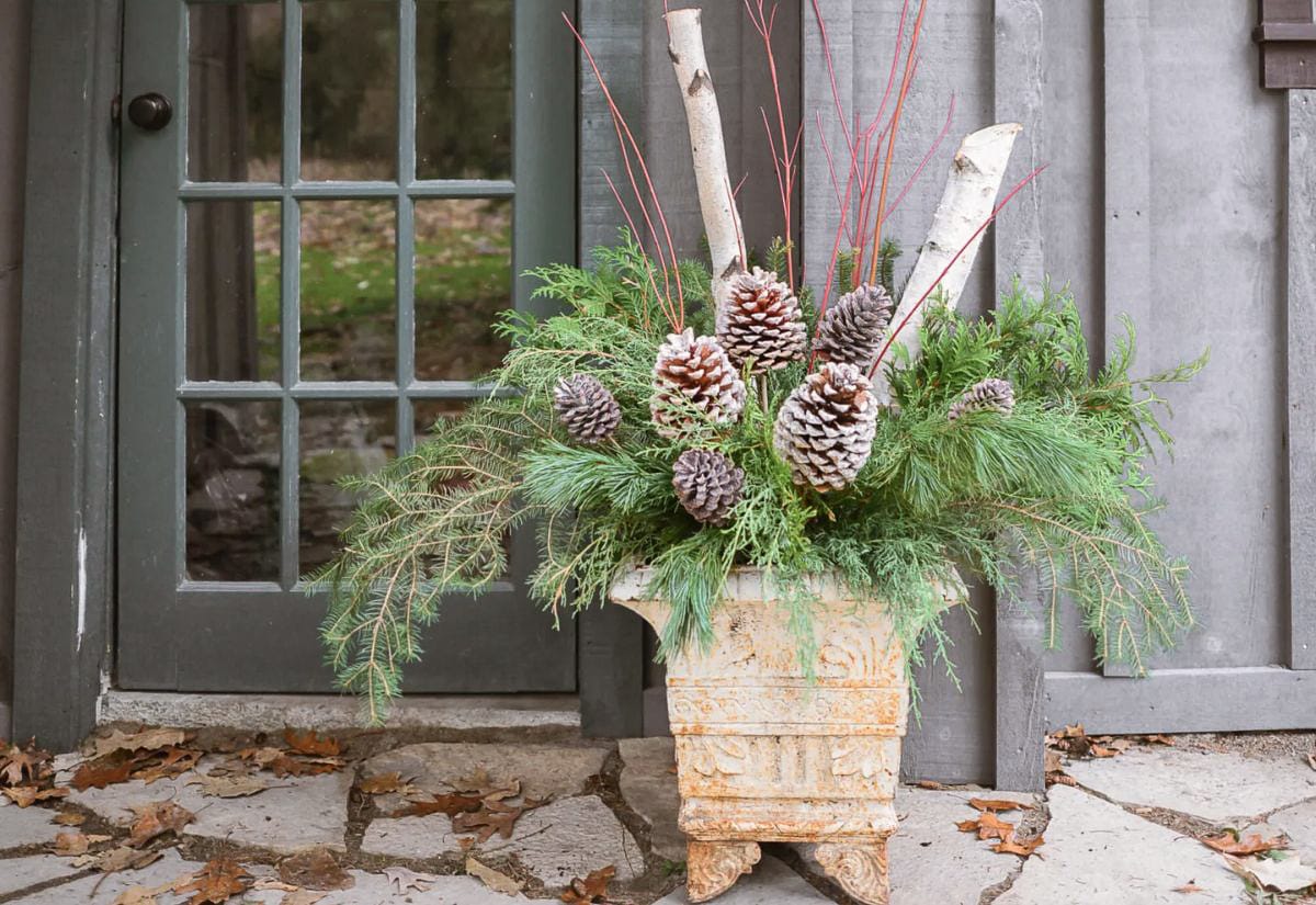 Large outdoor winter planter filled with pine and cedar boughs, frosted pinecones, red twig dogwood, and birch branches placed beside a cottage-style door.