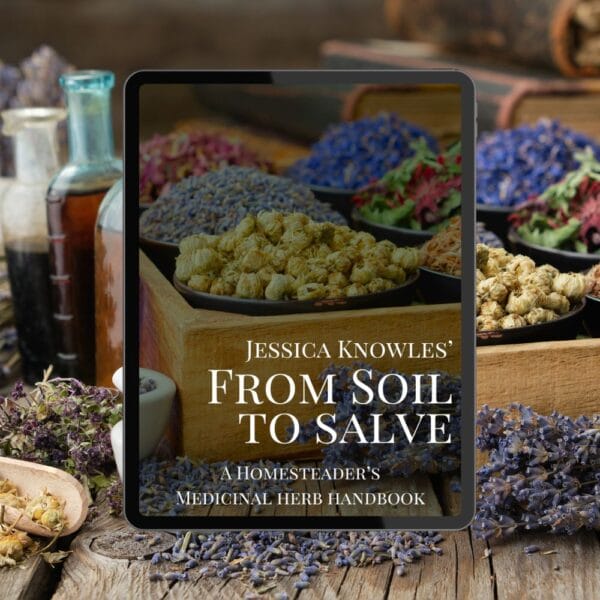 The cover of From Soil to Salve displayed in a Kindle frame.