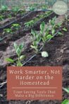Rows of young garden plants with drip irrigation lines showing smart water-saving solutions on a homestead.