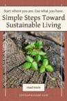 A green plant sprouting from a cracked tree stump symbolizing resilience and sustainable growth.