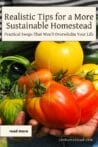 Hands holding colorful garden vegetables, symbolizing homegrown food and sustainable gardening on the homestead.