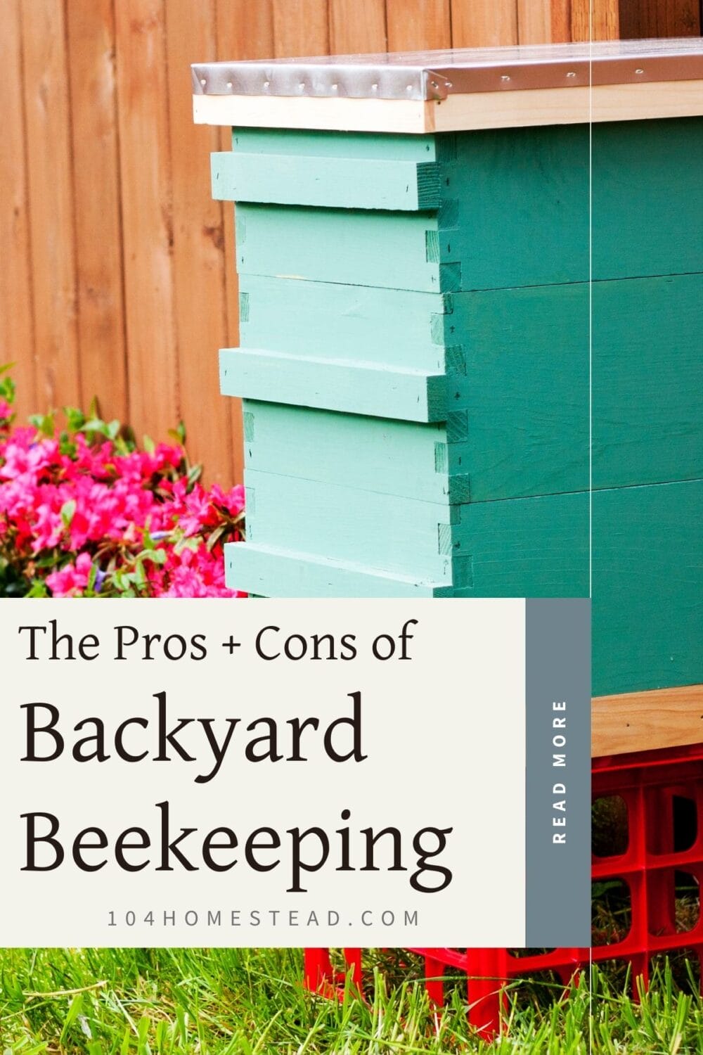 A Pinterest-friendly graphic for my post that weighs the pros and cons of raising bees in your backyard.