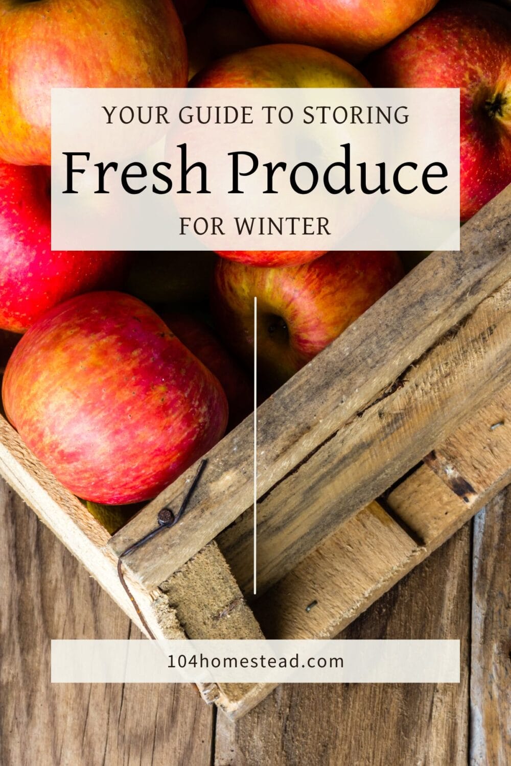 A Pinterest-friendly graphic for my post that describes how to store fresh fruits and vegetables for the whole winter.