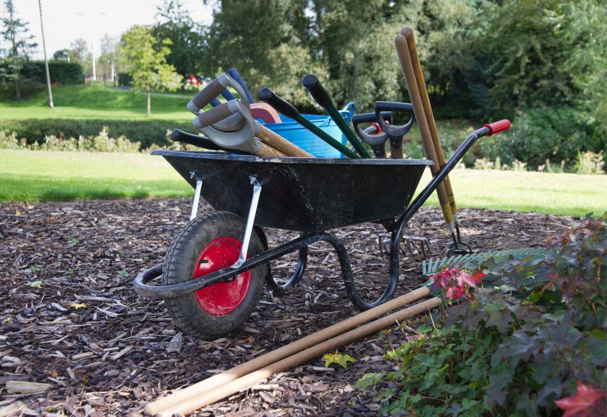 A wheelbarrow filled with essential gardening tools.