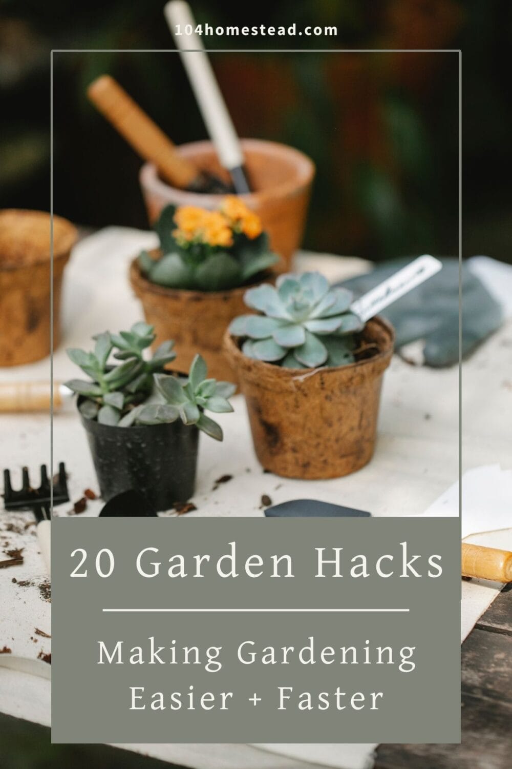 A Pinterest-friendly graphic for my gardening tips post.