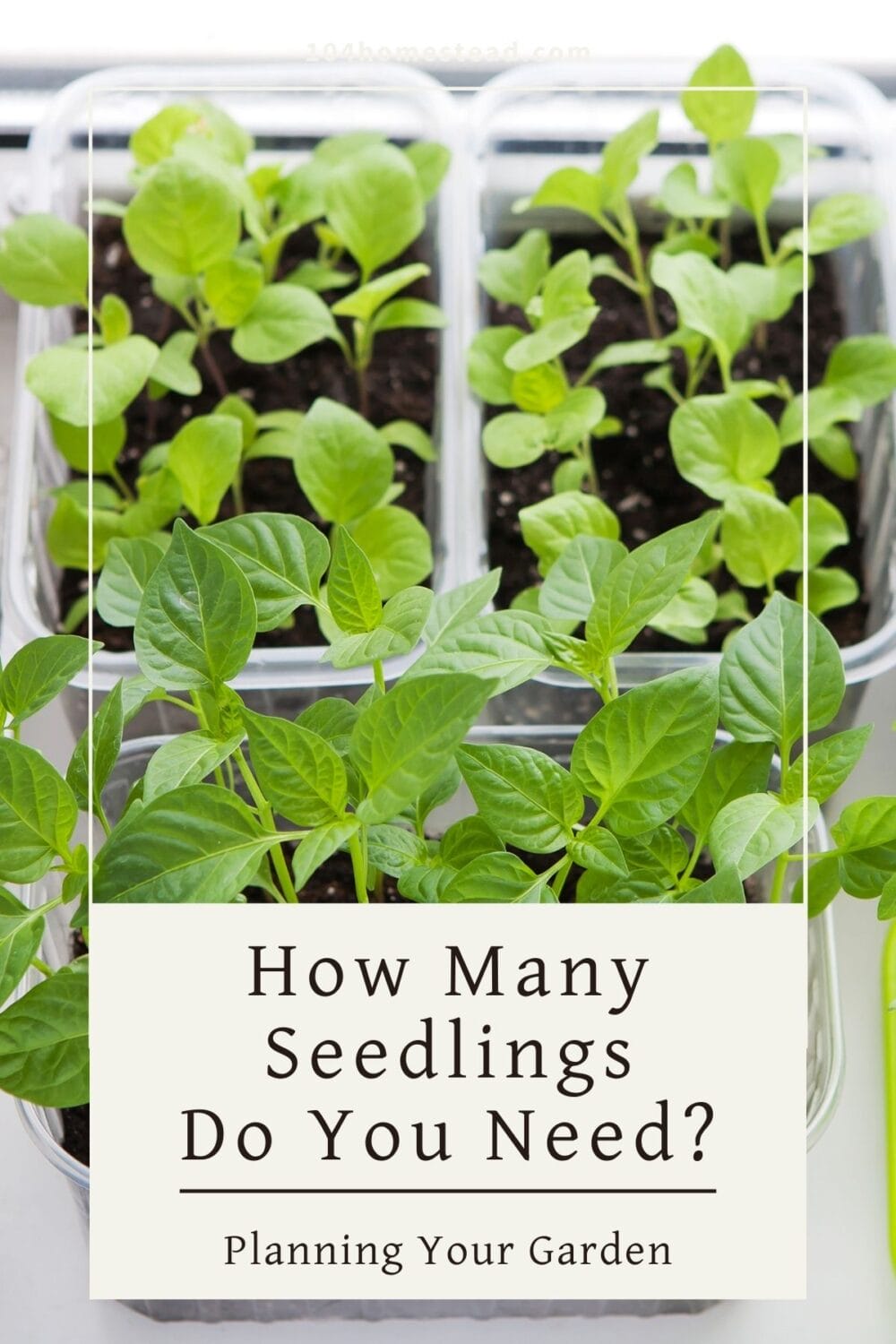 A Pinterest-friendly graphic for my post on determining how many seedlings to start for your garden.