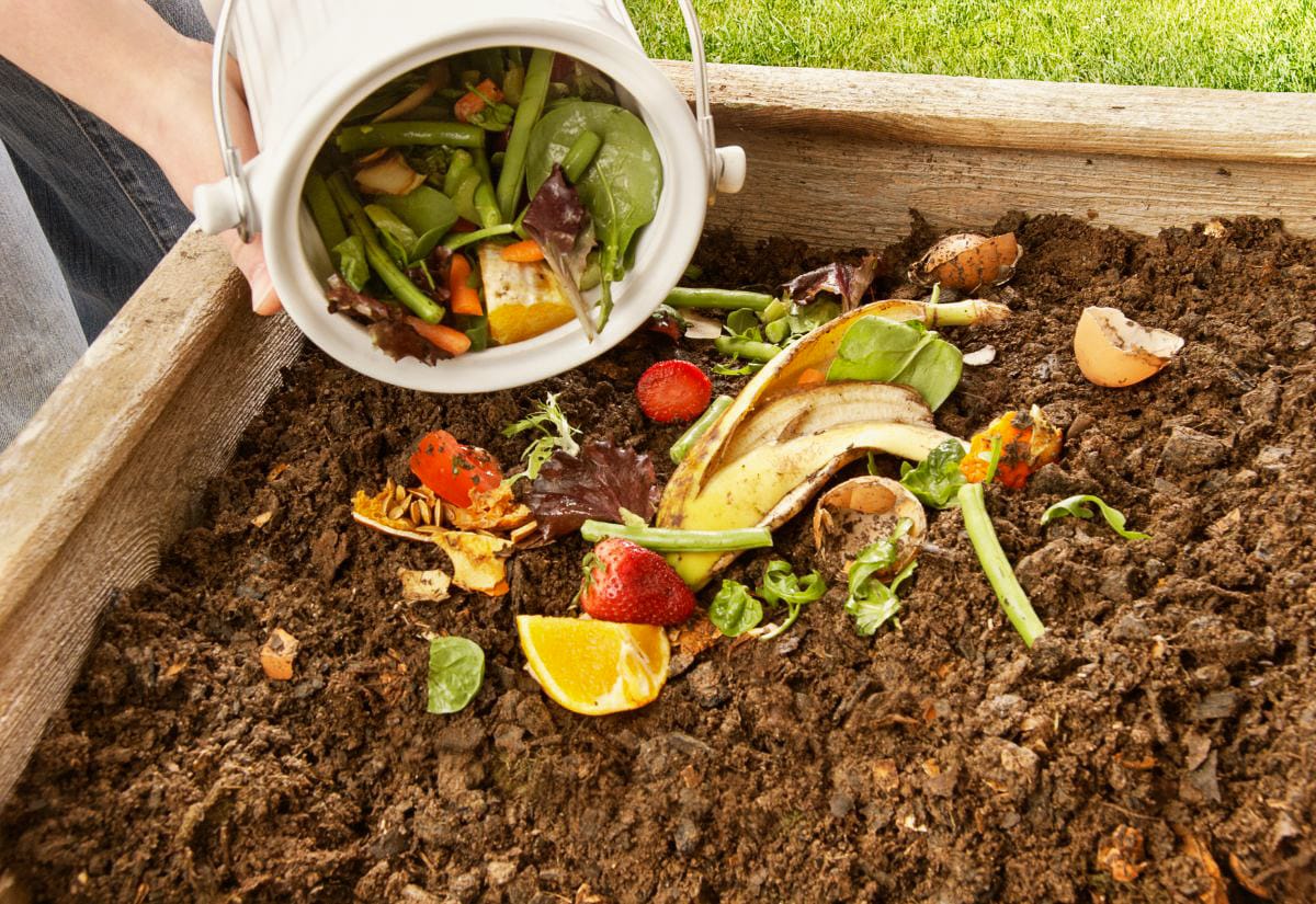 A white countertop compost pail dumping colorful food scraps into a raised garden bed compost bin.