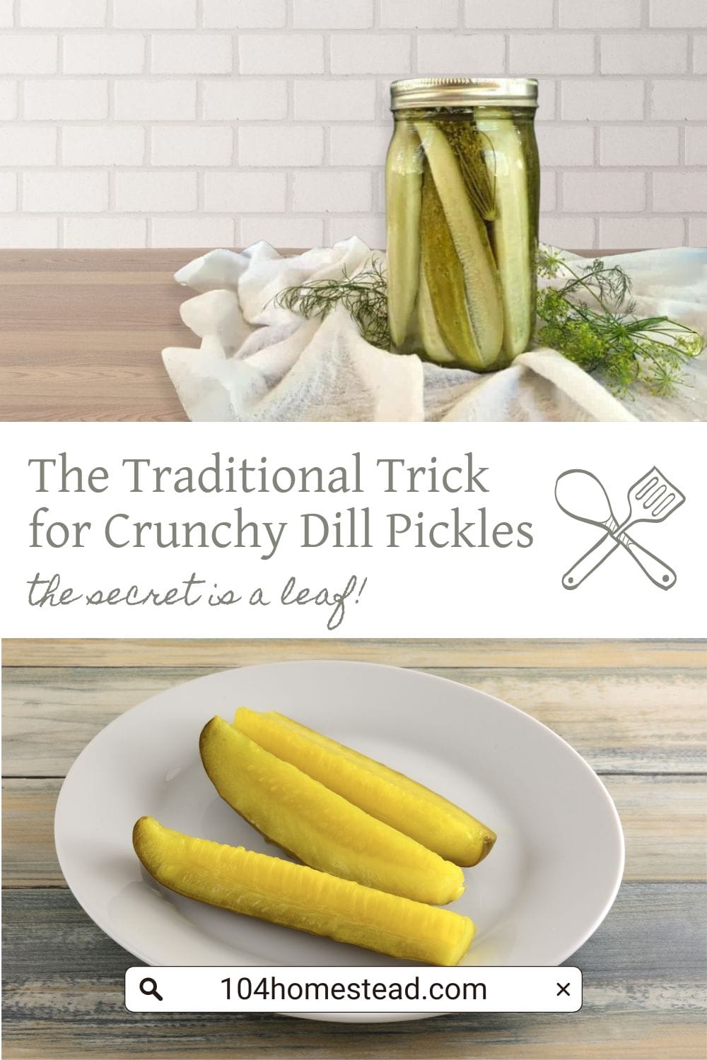 A Pinterest-friendly graphic for my crispy dill pickle recipe.