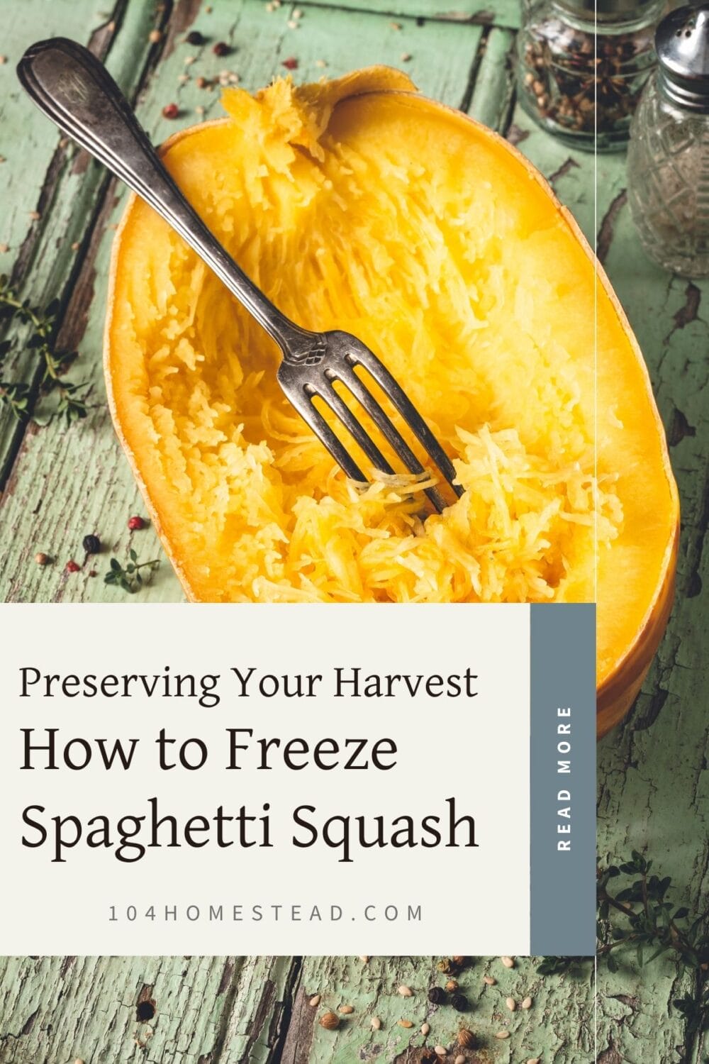 A Pinterest-friendly graphic for my post on how to freeze spaghetti squash.